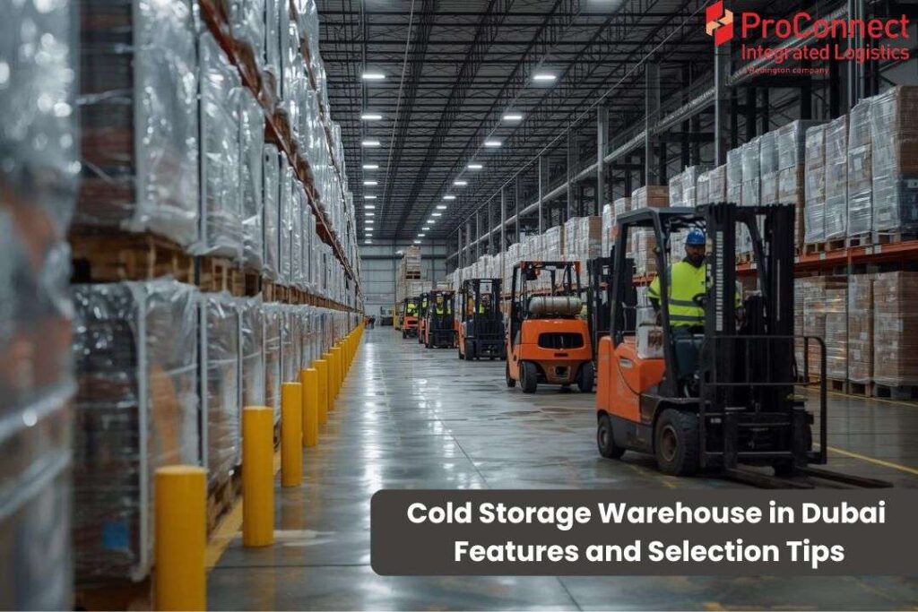 Cold Storage Warehouse in Dubai